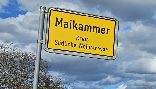 Ein Hotel-Hausmeister in Maikammer erkannte einen Mann mit auffälligen Tätowierungen wieder und informierte die Polizei. Der Tatverdächtige steht im Verdacht, mehrere Diebstähle in Hotels und Weingütern begangen zu haben. | Foto: Eva Bender