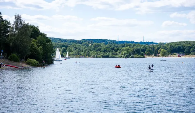 Besucher segeln und Paddeln auf dem Bostalsee.  | Foto: Laszlo Pinter/dpa
