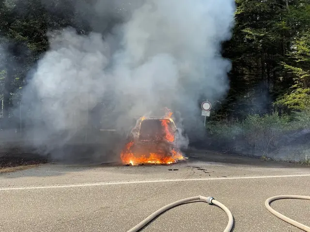 Ein brennender Pkw hat am Freitagmittag, 31. Juli, einen größeren Feuerwehreinsatz auf der L369 nahe dem Forsthaus Mackenbach ausgelöst | Foto: Freiwillige Feuerwehr Weilerbach