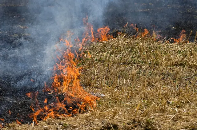 Die Feuerwehr konnte die Ausbreitung der Flammen auf dem Stoppelfeld in Stutensee verhindern. (Symbolbild) | Foto: Patrick Pleul/dpa-Zentralbild/ZB