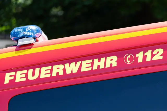 Die Feuerwehr konnte das leicht verletzte Pferd aus dem Bach bergen. (Symbolbild) | Foto: Michael Matthey/dpa