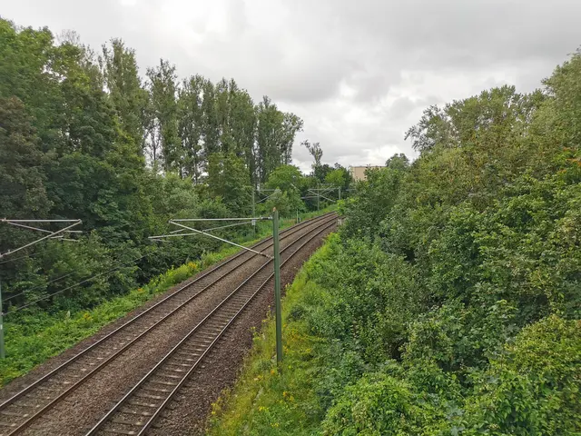 Wegen eines Bombenfunds ist die Bahnstrecke zwischen Mannheim und Ludwigshafen derzeit gesperrt. | Foto: Heike Schwitalla