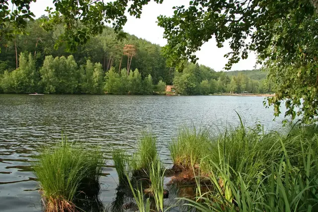 Gelterswoog Kaiserslautern: Er gehört zu den schönsten Seen in der Pfalz. Hier kann man nicht nur das Wasser genießen, sondern auch fischen und wandern. Ein Minigolfplatz befindet sich direkt neben dem Weiher.
 | Foto: Stadt Kaiserslautern