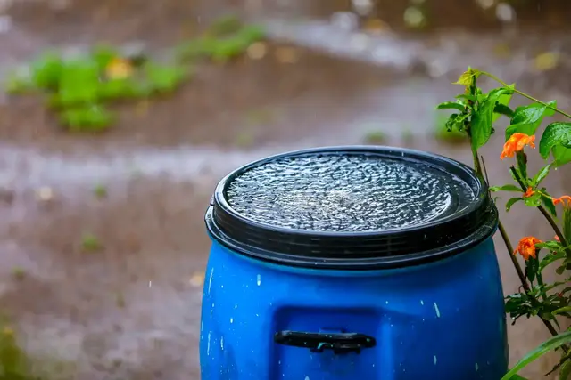 Regenwasser sammeln: Wer in trockenen Wochen den Garten wässern muss, kann mit gesammeltem Regenwasser sparen | Foto: Niks Ads/stock.adobe.com