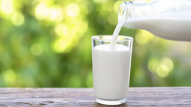 Einige Pflanzen im Garten kann man mit Milch düngen. Dabei kommt es auf das Mischverhältnis und die Pflanzen an. | Foto: novi/stock.adobe.com