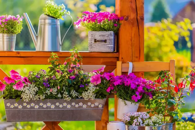 Torfärmere Erden werden häufiger angeboten. Ein BLE-Projekt zeigt, wie Kompost als Alternative in Substraten funktionieren kann, besonders bei Topfkräutern. | Foto: iMarzi/stock.adobe.com