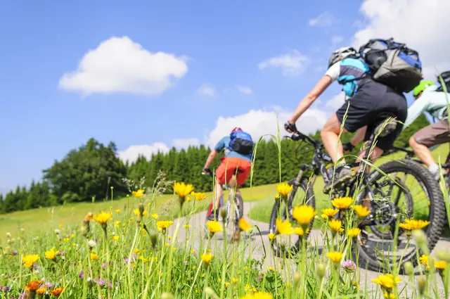 Sportliche Radtour "Vorder-Kurpfalz" des Allgemeine Deutsche Fahrrad-Club / Symbolfoto | Foto: ARochau/stock.adobe.com