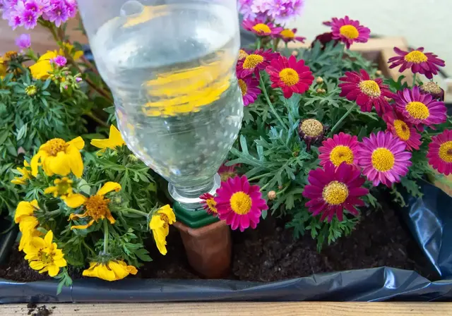 Bewässerungshilfen geben Wasser nach und nach an die Pflanzen ab und können sie während der Urlaubszeit unterstützen. | Foto: Andrea Warnecke/dpa-mag