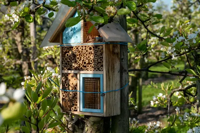 Insektenfreundlicher Garten: Insektenhotels bieten Wildbienen und anderen Insekten Nistmöglichkeiten | Foto: barmalini/stock.adobe.com