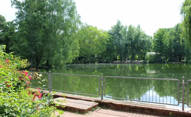 Ein 47-Jähriger hat im Volkspark in Kaiserslautern nackt im Zulauf eines Weihers gebadet und Passanten angeschrien. Die Polizei erteilte einen Platzverweis und leitete ein Ordnungswidrigkeitenverfahren ein. | Foto: Monika Klein