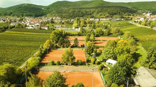 Am Fuß des Hambacher Schlosses, umgeben von Weinreben lässt es sich nicht nur fantastisch leben, sondern auch erstklassig Tennis spielen. | Foto: TC Rot-Weiss Neustadt