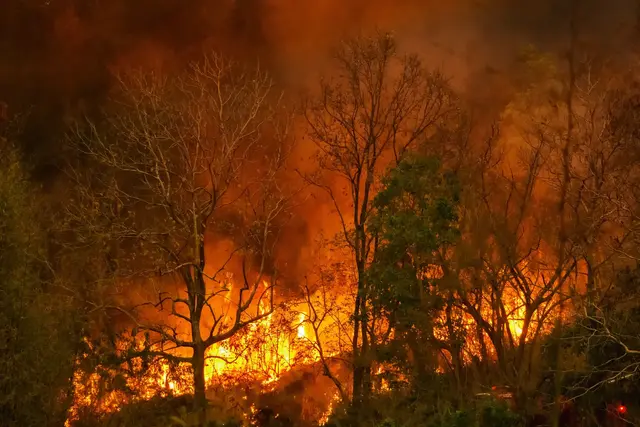 Ein Feldbrand in Dossenheim hat am Sonntagabend einen Feuerwehreinsatz ausgelöst. Die Polizei ermittelt wegen fahrlässiger Brandstiftung und sucht Zeugen. | Foto: toa555/stock.adobe.com