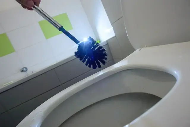 Öfter mal ein kleiner Kloputz, statt großer Putzaktion alle paar Wochen. So wird die Toilettenreinigung nicht zur nervigen Mammutaufgabe. | Foto: dpa