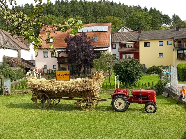Am Sonntag, 6. September lädt Kappeln zum Dorfmarkt ein  | Foto: Anja Stemler