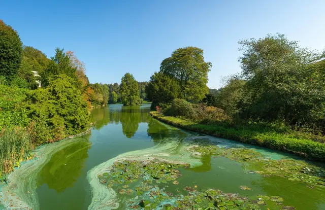 Blaualgen in hessischen Badeseen: Warnzeichen, Risiken und aktuelle Badeverbote. | Foto: ADAC Hessen-Thüringen e.V.