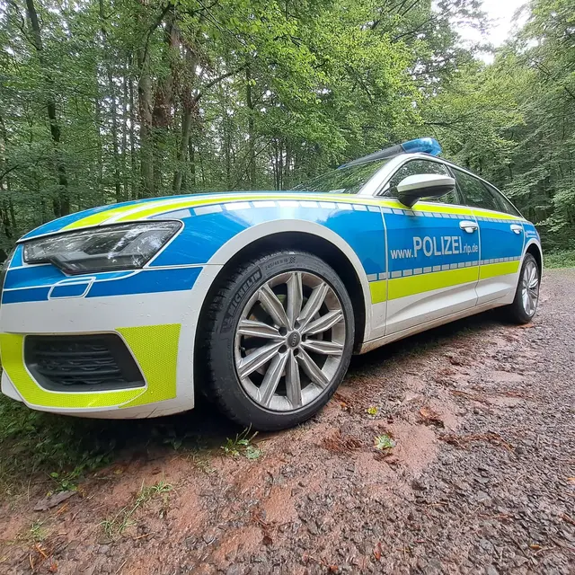 Ein beschädigter Drückjagdbock im Jagdrevier Merschbach beschäftigt die Polizei. Unbekannte stießen die hölzerne Jagdeinrichtung an einem Waldweg eine Böschung hinunter. | Foto: Monika Klein