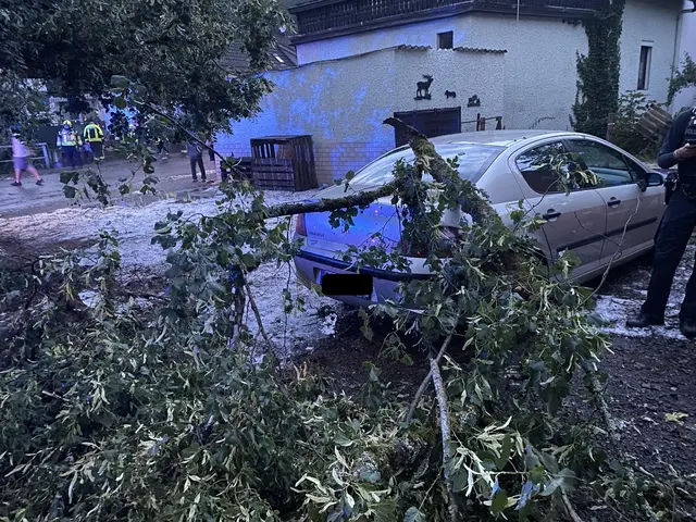 Starker Sturm und Hagel haben im Dienstgebiet der PI Baumholder Äste abbrechen lassen und Straßen blockiert. Die Feuerwehr war stundenlang im Einsatz, verletzt wurde laut Polizeidirektion Trier niemand. | Foto: Polizeidirektion Trier