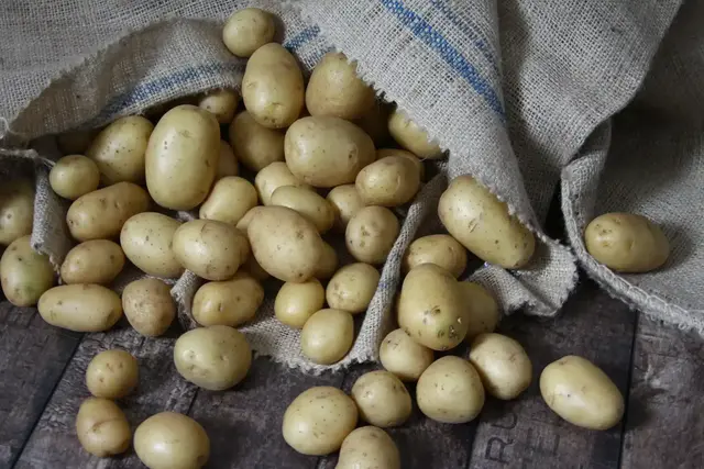 Kartoffeln sind pflegeleicht, wenn man sie richtig lagert. | Foto: Turi/stock.adobe.com