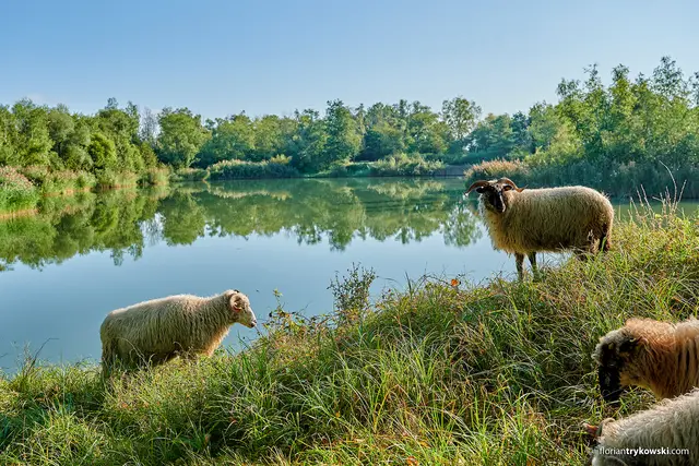 Die rund vierstündige Geo-Tour verbindet spannende Einblicke in die Erd- und Industriegeschichte der Region mit eindrucksvollen Naturerlebnissen | Foto: Donnersberg-Touristik-Verband e.V./Florian Trykowski/gratis