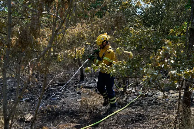 Ein Feuerwehrmann bekämpft Glutnester im Gebiet am Rotenfels im Kreis Bad Kreuznach. 2026 könnte in Sachen Waldbrand zum Rekordjahr für Rheinland-Pfalz werden. (Archivbild) | Foto: Sascha Ditscher/dpa