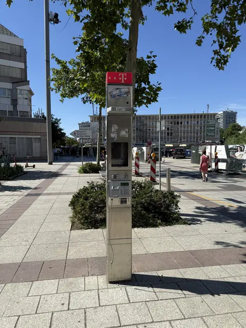Warum die Telefonsäulen überall im Stadtgebiet noch stehen und in allen anderen Städten längst abgerissen sind, konnte Buchholz vergangenes Jahr noch niemand beantworten.  | Foto: Helmut Buchholz