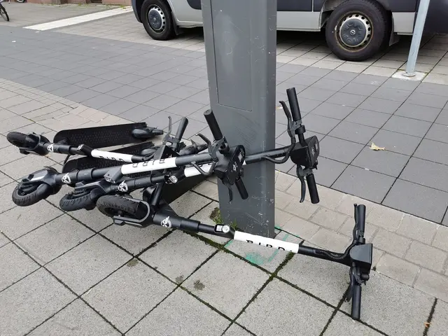 Bei einer Verkehrskontrolle auf der B38 in Schweigen-Rechtenbach stoppte die Polizei einen E-Scooter-Fahrer unter Drogeneinfluss. Ein Test fiel positiv auf Cannabis und Kokain aus, außerdem fehlte der gültige Versicherungsschutz. | Foto: Heike Schwitalla
