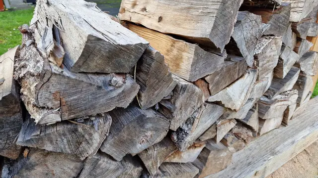 Wer Brennholz für den Winter benötigt, sollte die Bestellfrist beim Forstamt Kaiserslautern beachten | Foto: Ralf Vester