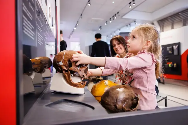 An Bord der „MS experimenta“ können Kinder an zahlreichen Mitmachstationen selbst experimentieren und entdecken. | Foto: experimenta gGmbH