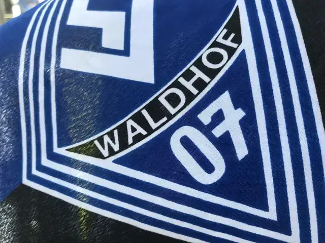 Der SV Waldhof Mannheim baut eine bestehende Partnerschaft im Fitnessbereich weiter aus. | Foto: Anouar Touir