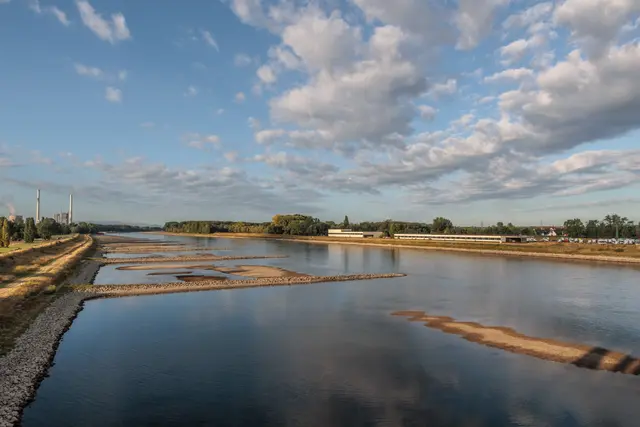 Der niedrige Wasserstand legt am Rhein derzeit Kies- und Sandbänke frei. Die DLRG warnt dennoch eindringlich vor dem Baden im Fluss. | Foto: Paul Needham