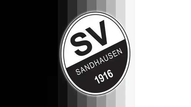 Der SV Sandhausen startet in Sandhausen mit einem Heimspiel in die neue Saison. | Foto: Anouar Touir