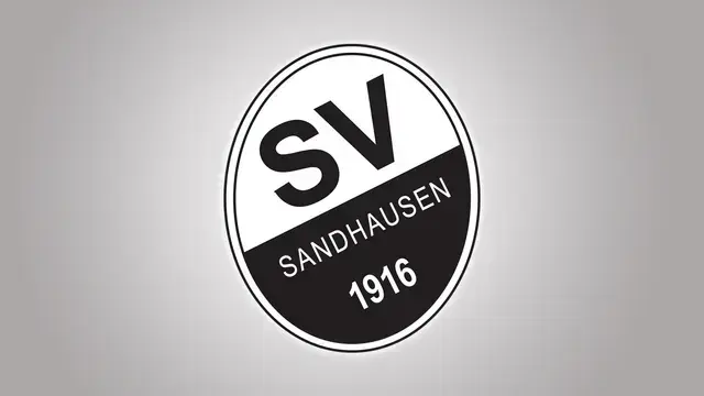 Der SV Sandhausen hat die Zusammenarbeit mit vier Partnerunternehmen für die kommende Saison verlängert. | Foto: Anouar Touir