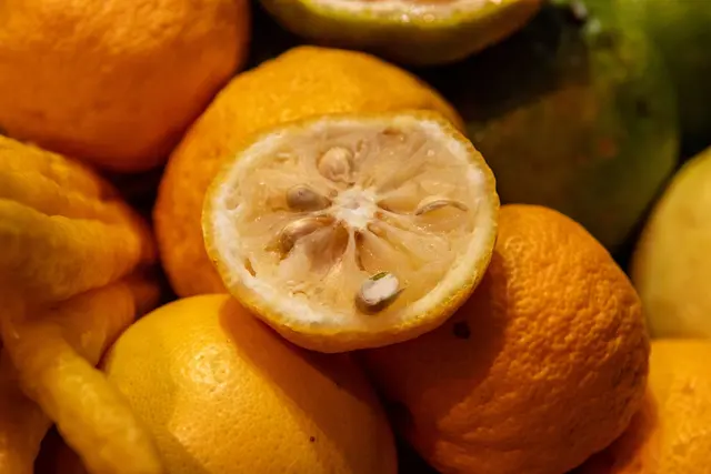 Schrumpelige Schale, intensiver Geschmack: Yuzu bringt kräftiges Zitrusaroma ins Essen – auch wenn man sie im Supermarkt selten sieht. | Foto: Zacharie Scheurer/dpa-mag