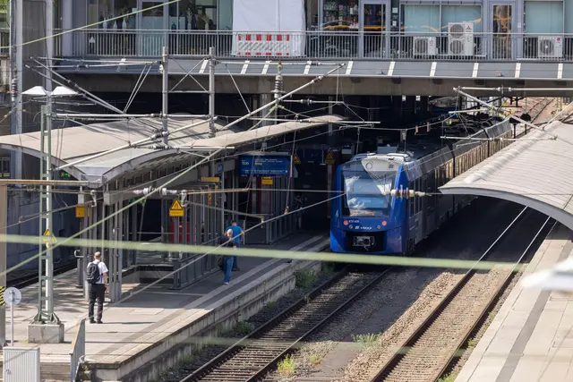 Nach der Fahrt wurde der Greifvogel am Mainzer Hauptbahnhof übergeben. (Symbolbild)  | Foto: Helmut Fricke/dpa