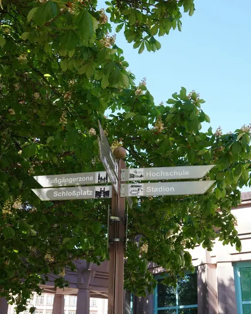 Bei den Begehungen ging es um Wege, Ampeln und Barrierefreiheit für alle, die in Pirmasens zu Fuß unterwegs sind. | Foto: Stadt Pirmasens