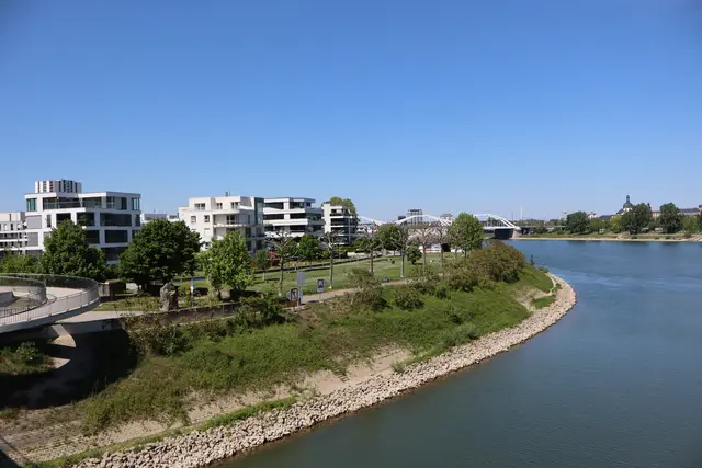 Der Rheinwalk erstreckt sich über eine Länge von 6  bis 7 Kilometern | Foto: Julia Glöckner