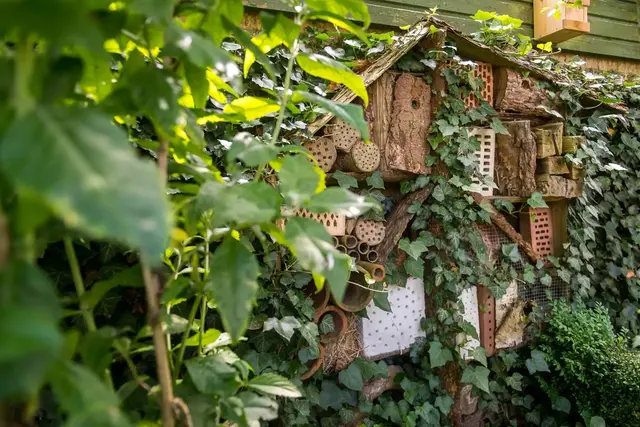 Blattläuse im Garten haben weniger Chancen, wenn man darauf achtet, Nützlingen Rückzugsorte anzubieten. Kleine Insektenhotels bieten hilfreichen Insekten Schutz. | Foto: dpa