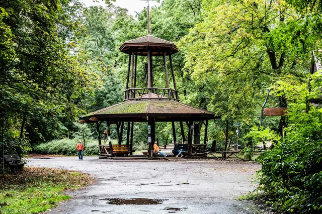 Im Käfertaler Wald gibt es wieder Waldbaden-Kurse. | Foto: Christian Gaier