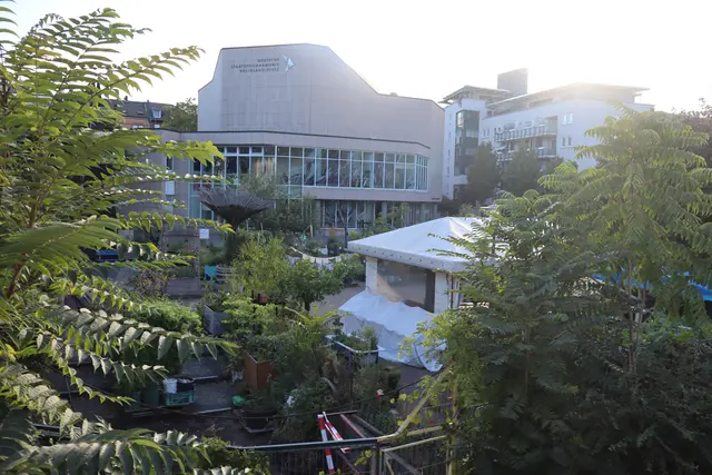 Der Hackgarten wird allmählich zum Wucherprojekt, Bäume haben durchs Pflaster gewurzelt.  | Foto: JG