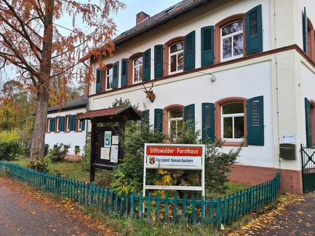 Der Mann soll sich zwischen dem Forsthaus und dem Parkplatz der Schule am Beilstein ohne Hose gezeigt und seine Genitalien entblößt haben | Foto: Ralf Vester