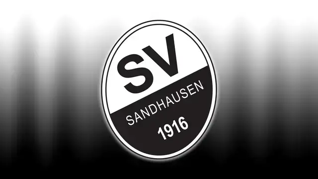 Der SV Sandhausen hat Marco Kehl-Gomez zum Kapitän für die Saison 2026/27 bestimmt. | Foto: Anouar Touir