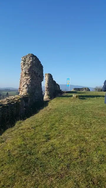 Ruine der Burganlage in Bolanden | Foto: Foto Danner