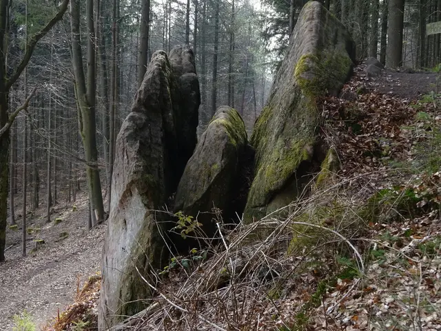 Steinformation entlang des Wanderweges  | Foto: Dr. Mattias Kroner, Eisenberg-Steinborn 