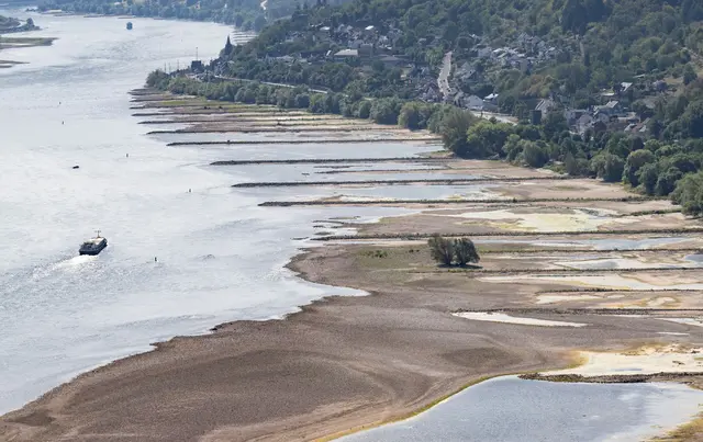 Das Niedrigwasser trifft alle Unternehmen der Binnenschifffahrt massiv, sagen Spediteure.  | Foto: Boris Roessler/dpa