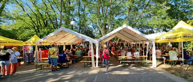Gleich und gleich gesellt sich gerne. Der Zustrom ist trotz den hohen sommerlichen Temperaturen groß. | Foto: mx