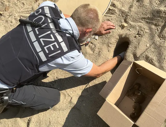 Ohne Mutter werden vier kleine Kaninchenbabys auf einem Spielplatz gefunden (Handout).  | Foto: Handout / Berlin/Polizei Freiburg/dpa