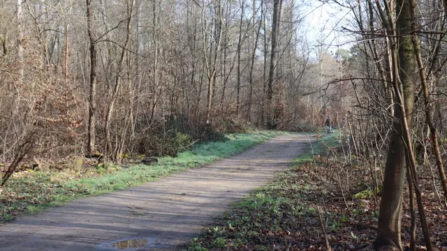 Die Leiche wurde in einem Wald bei Mannheim gefunden. (Archivbild) | Foto: Rene Priebe/dpa