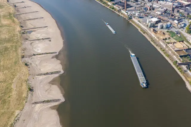 Seit Wochen führt der Rhein zu wenig Wasser. (Archivbild) | Foto: Christoph Reichwein/dpa