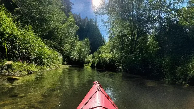 Nach Feierabend noch raus. Kanusport auf dem Altrheinarm bei Germersheim führt durch eine ruhige, wilde Landschaft. (Archivbild) | Foto: Heike Schwitalla
