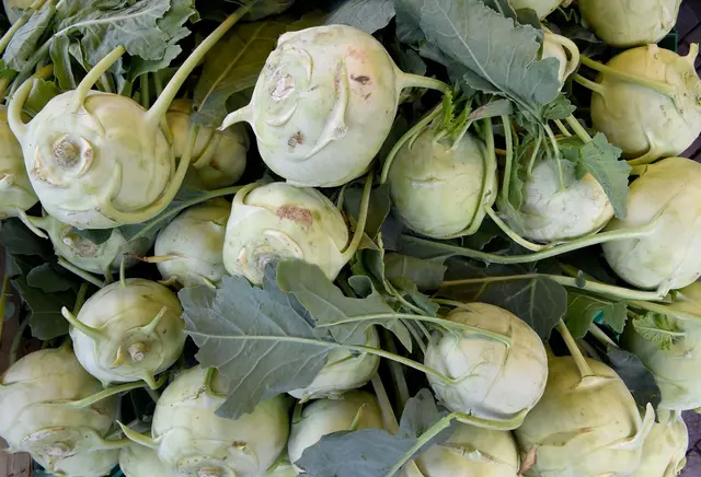 Kohlrabi & Co. mit Stumpf und Stiel aufessen: Nicht immer die beste Idee. | Foto: Holger Hollemann/dpa/dpa-mag